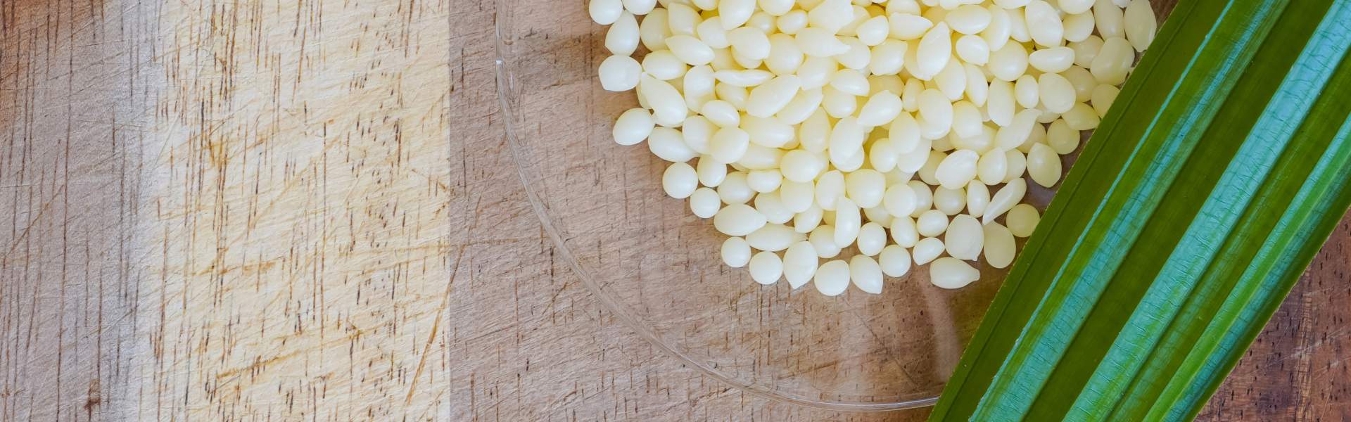 Plant-Based Waxes: Sustainable Alternatives for Modern Businesses